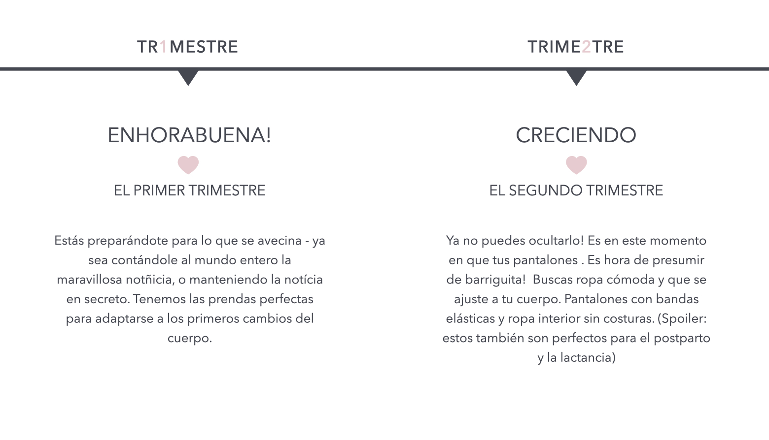 TRIMESTRE.001